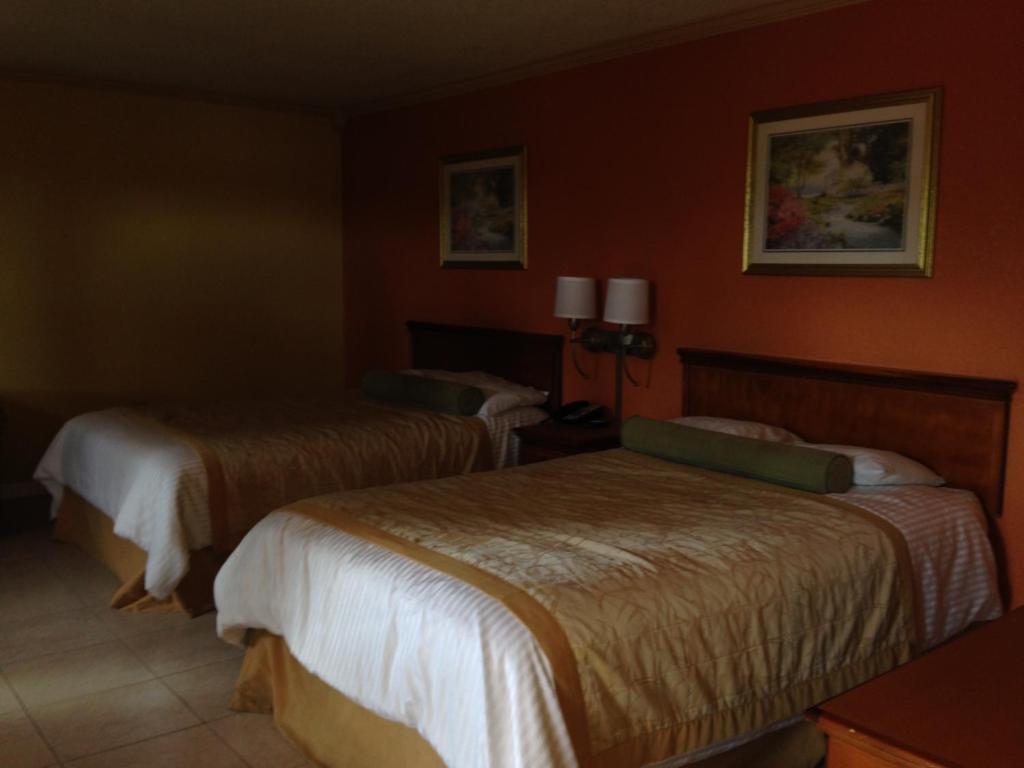 Americas Best Value Inn North Port Rum bild