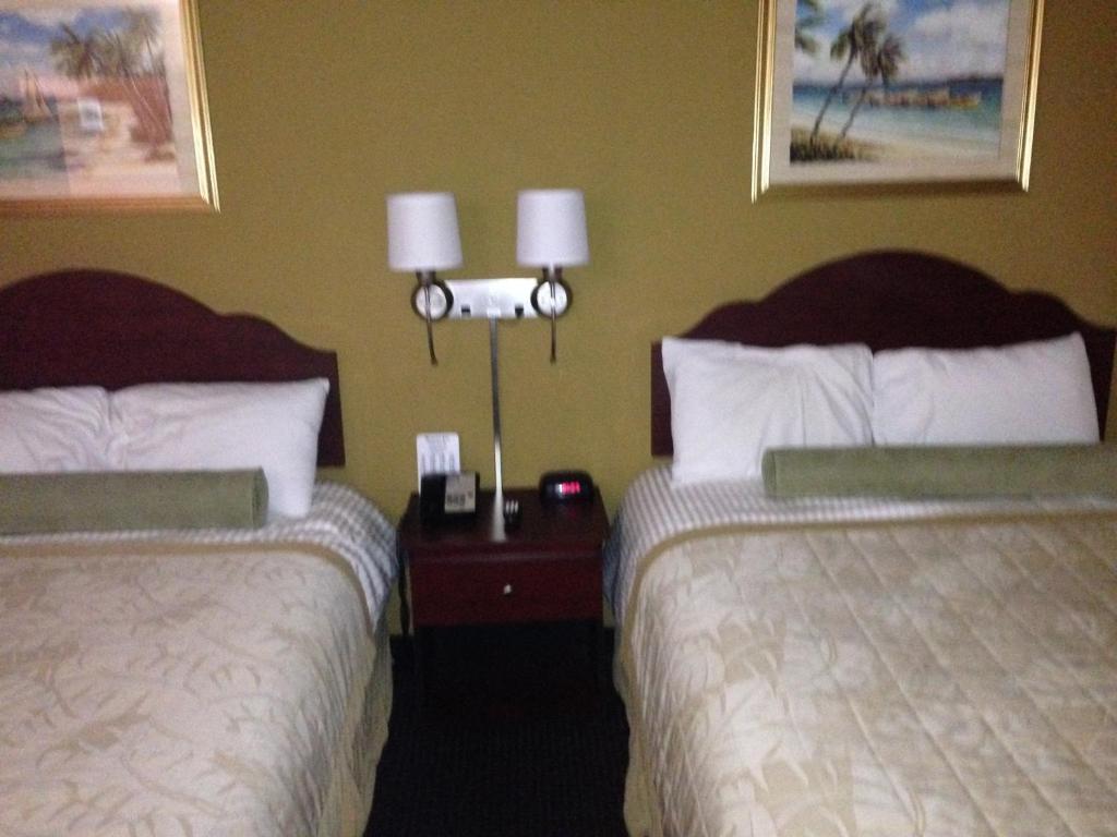 Americas Best Value Inn North Port Rum bild